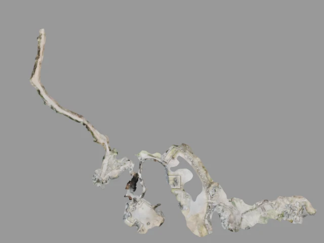 3D scan of Q'enqo - Scan 1