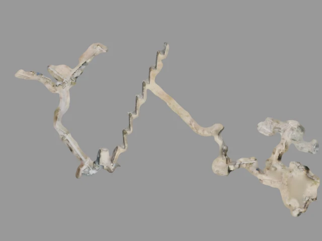 3D scan of Sacsayhuaman - Scan 1