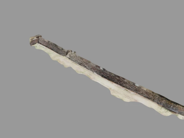 3D scan of Tipon - Scan 2