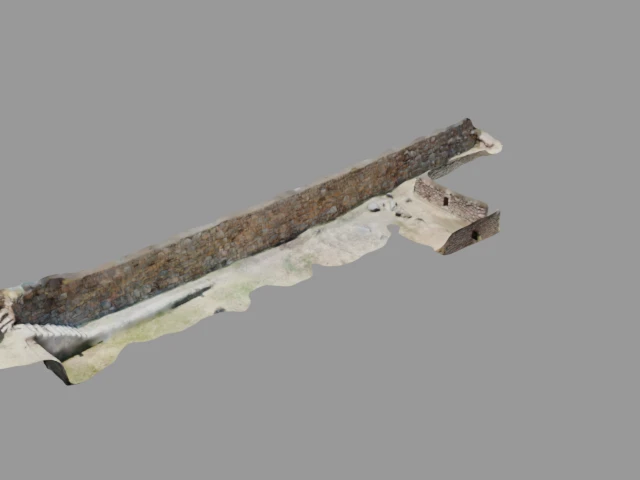 3D scan of Tipon - Scan 3